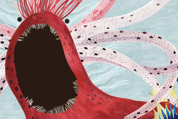 pez-dorado7 pez-dorado7