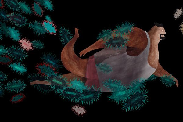 pez-dorado9 pez-dorado9